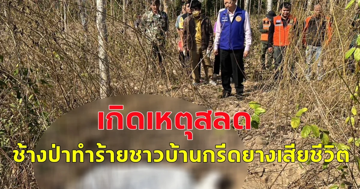 เกิดเหตุสลด ช้างป่าทำร้ายชาวบ้านกรีดยางเสียชีวิต
