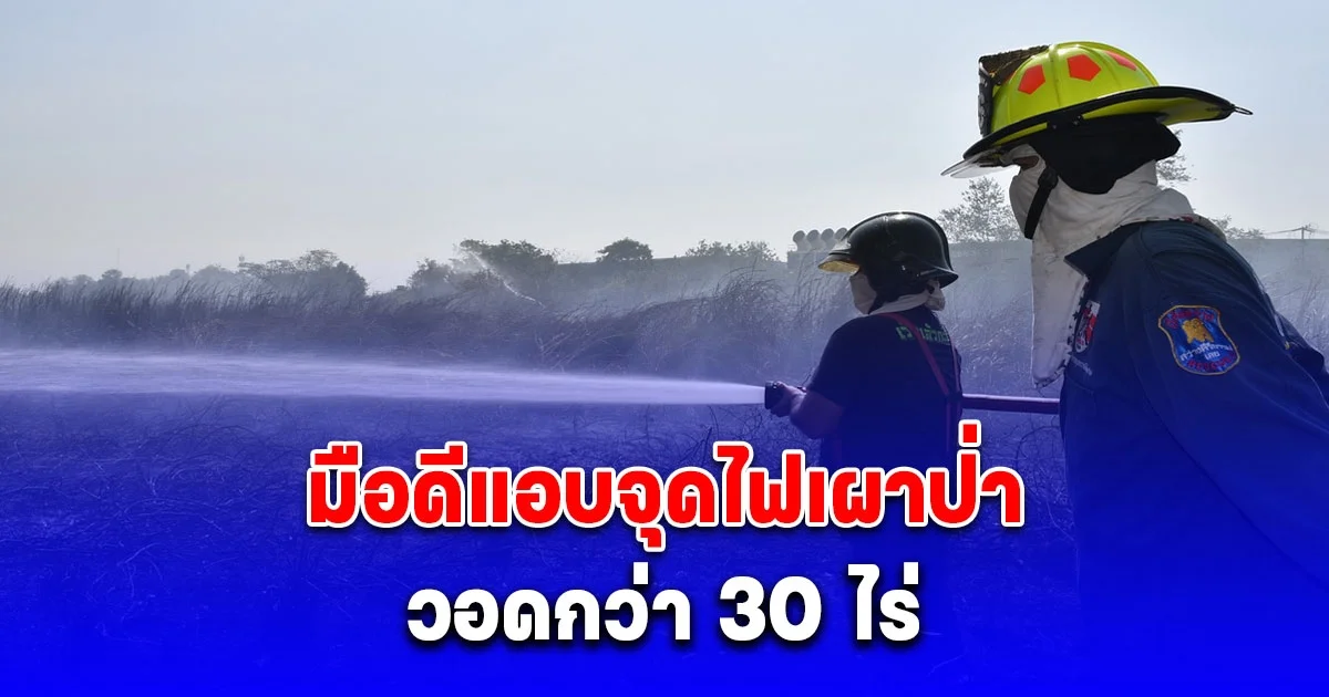 มือดีแอบจุดไฟแช็คเผาป่าหญ้าย่านเศรษฐกิจ วอดกว่า 30 ไร่