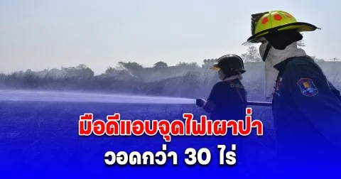 มือดีแอบจุดไฟแช็คเผาป่าหญ้าย่านเศรษฐกิจ วอดกว่า 30 ไร่
