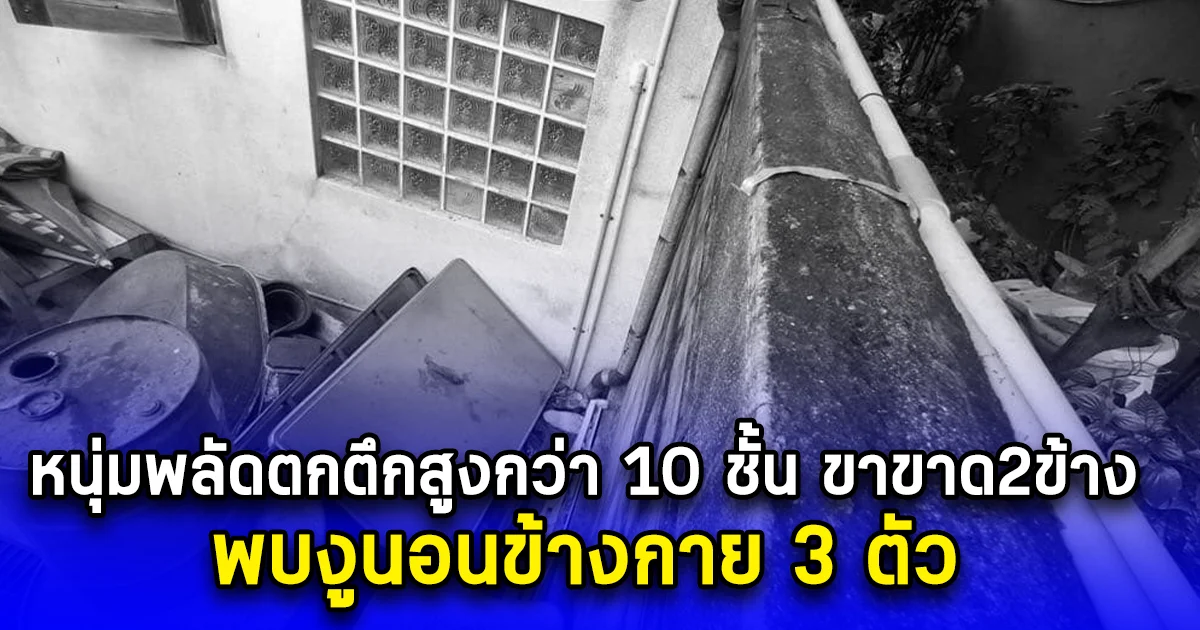 หนุ่มพลัดตกตึกสูงกว่า 10 ชั้น ขาขาด2ข้าง พบงูนอนข้างกาย3ตัว  
