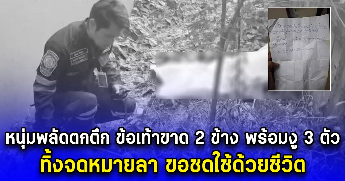 หนุ่มพลัดตกตึก ข้อเท้าขาด 2 ข้าง พร้อมงู 3 ตัว ทิ้งจดหมายลา ขอชดใช้ด้วยชีวิต