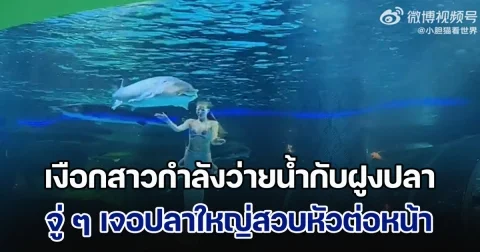นาทีช็อก! เงือกสาวกำลังว่ายน้ำกับฝูงปลา จู่ ๆ เจอปลาใหญ่สวบหัวต่อหน้า ผู้ชมกรี๊ดลั่นดังสนั่น (ข่าวตปท.)