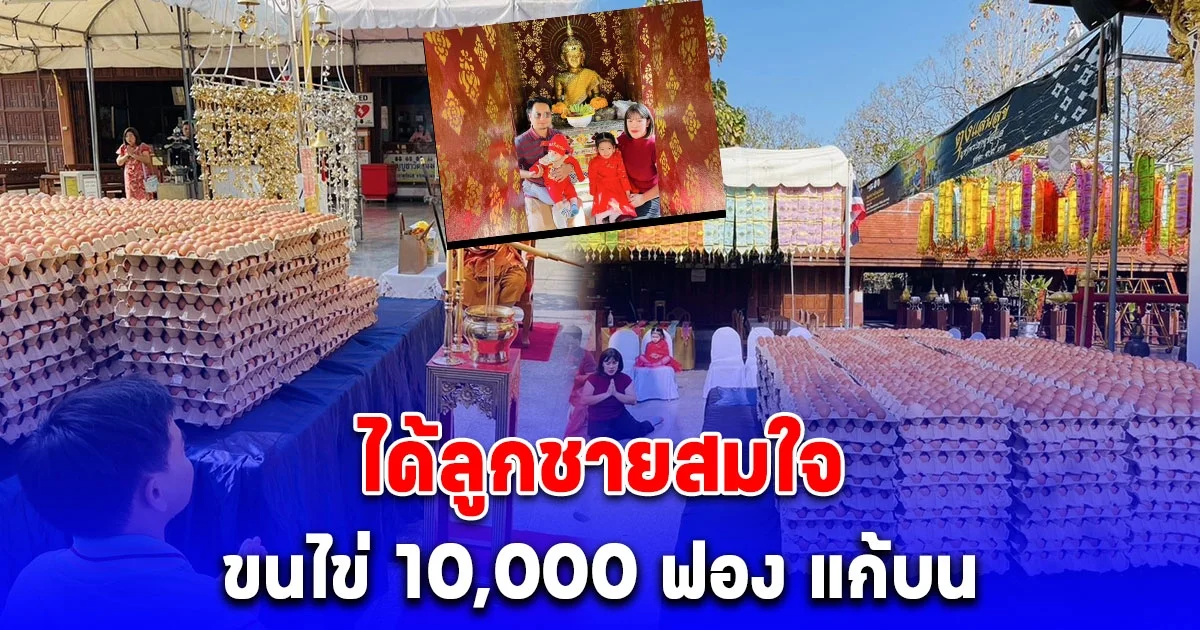 หนุ่มสาวลำพูนได้ลูกชายสมใจ ขนไข่ 10,000 ฟอง แก้บนหลวงพ่อทันใจวัดพระธาตุช่อแฮ จ.แพร่