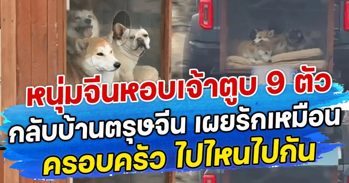 หนุ่มจีนหอบเจ้าตูบ 9 ตัว กลับบ้านตรุษจีน เผยรักเหมือนครอบครัว ไปไหนไปกัน
