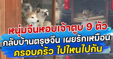 หนุ่มจีนหอบเจ้าตูบ 9 ตัว กลับบ้านตรุษจีน เผยรักเหมือนครอบครัว ไปไหนไปกัน