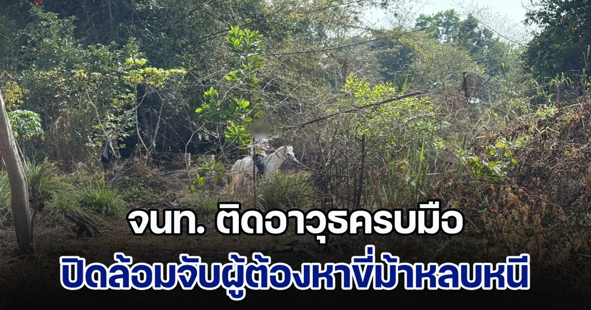 จนท. ติดอาวุธครบมือ ปิดล้อมจับผู้ต้องหาขี่ม้าหลบหนี หลังพาครอบครัว รุกที่ชาวบ้านปลูกเพิงพัก ไม่สนหมายบังคับคดี