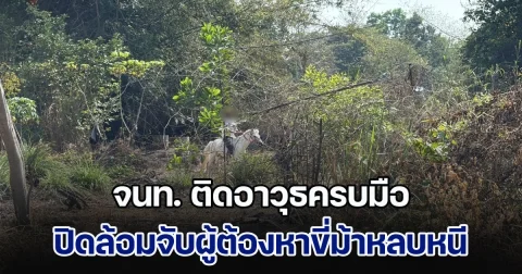 จนท. ติดอาวุธครบมือ ปิดล้อมจับผู้ต้องหาขี่ม้าหลบหนี หลังพาครอบครัว รุกที่ชาวบ้านปลูกเพิงพัก ไม่สนหมายบังคับคดี