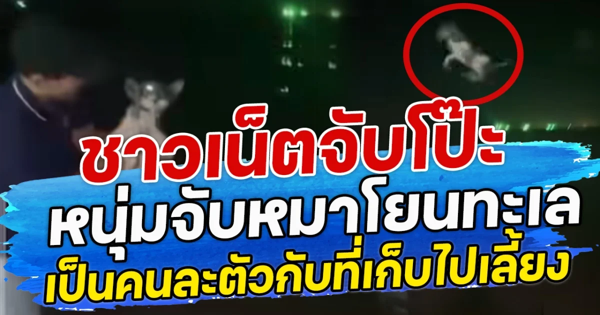 ชาวเน็ตจับโป๊ะ หนุ่มจับหมาโยนทะเล เป็นคนละตัวกับที่เก็บไปเลี้ยง