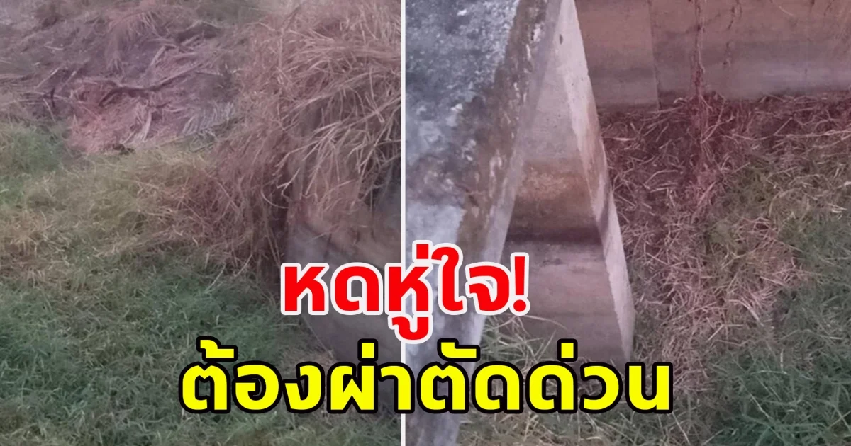 3 เดนทรชน หลอกเด็กหญิง ป.4 ไปนอกโรงเรียน บอกจะให้ขนม ก่อนลงมือย่ำยี ต้องส่งโรงพยาบาลด่วน