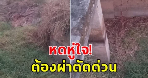 3 เดนทรชน หลอกเด็กหญิง ป.4 ไปนอกโรงเรียน บอกจะให้ขนม ก่อนลงมือย่ำยี ต้องส่งโรงพยาบาลด่วน