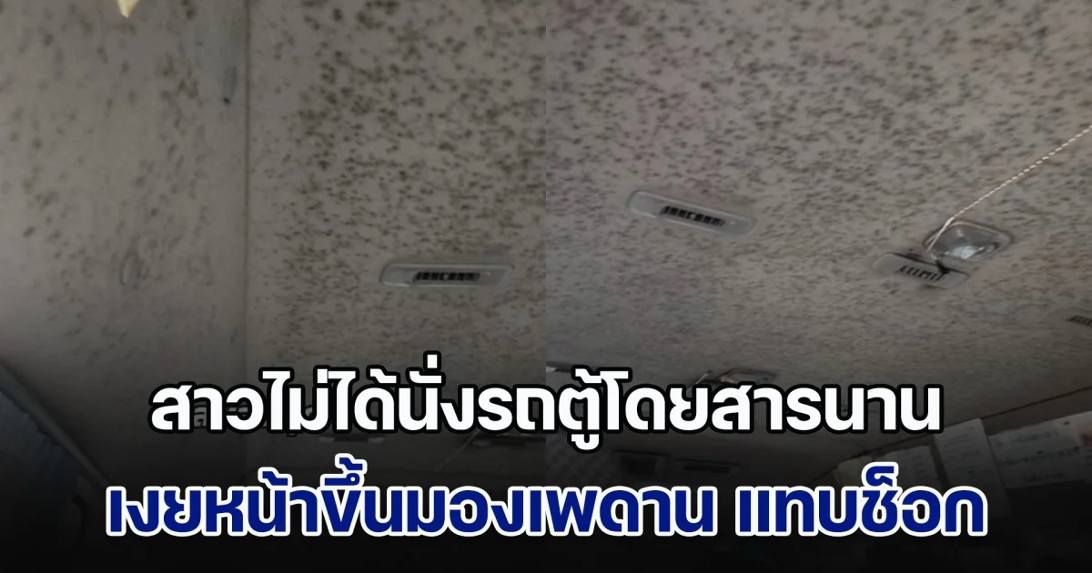 เกือบช็อก! สาวไม่ได้นั่งรถตู้โดยสารนาน เงยหน้าขึ้นมองเพดาน แทบไม่กล้าหายใจ ชาวเน็ตใบ้สายไหน