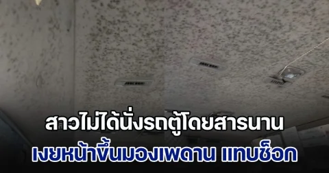 เกือบช็อก! สาวไม่ได้นั่งรถตู้โดยสารนาน เงยหน้าขึ้นมองเพดาน แทบไม่กล้าหายใจ ชาวเน็ตใบ้สายไหน