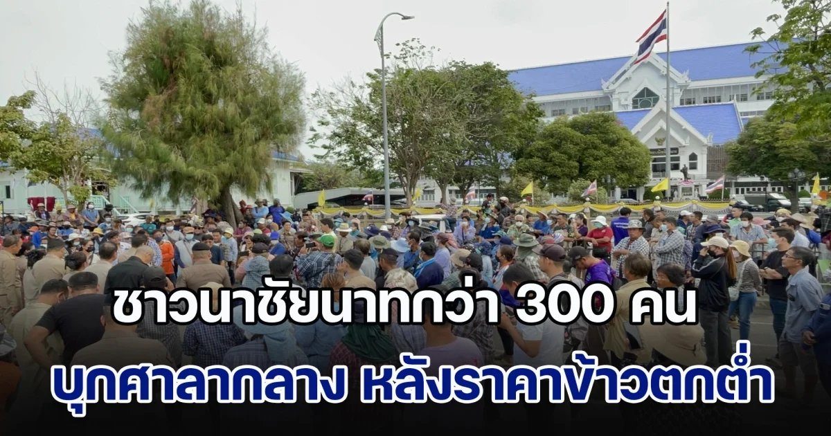 ชาวนาชัยนาทกว่า 300 คน บุกศาลากลางยื่นหนังสือเรียกร้องถึงรัฐบาล หลังราคาข้าวตกต่ำมาก