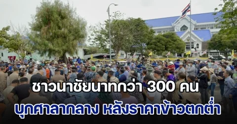 ชาวนาชัยนาทกว่า 300 คน บุกศาลากลางยื่นหนังสือเรียกร้องถึงรัฐบาล หลังราคาข้าวตกต่ำมาก