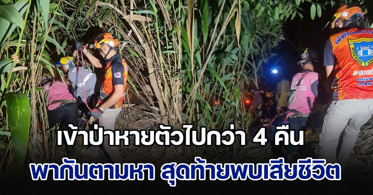 ชายวัย 46 เข้าป่าหาของมาขาย ก่อนจะหายตัวไปกว่า 4 คืน พากันตามหา สุดท้ายพบเสียชีวิตอยู่ในป่า