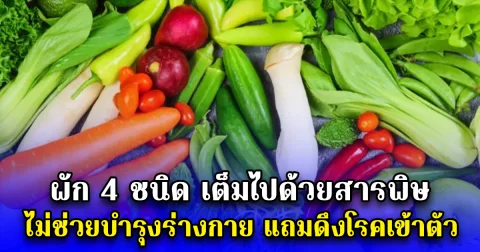 ผัก 4 ชนิด เต็มไปด้วยสารพิษ ไม่ช่วยบำรุงร่างกาย แถมดึงโรคเข้าตัว