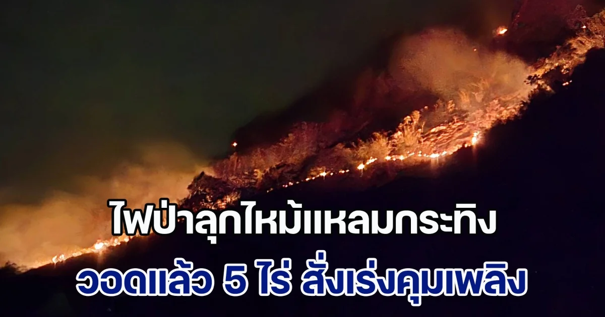 ไฟป่าลุกไหม้แหลมกระทิง วอดแล้ว 5 ไร่ สั่งระดมกำลังเร่งคุมเพลิง