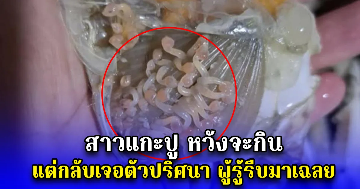 สาวแกะปู หวังจะกิน แต่กลับเจอตัวปริศนา ผู้รู้รีบมาเฉลย