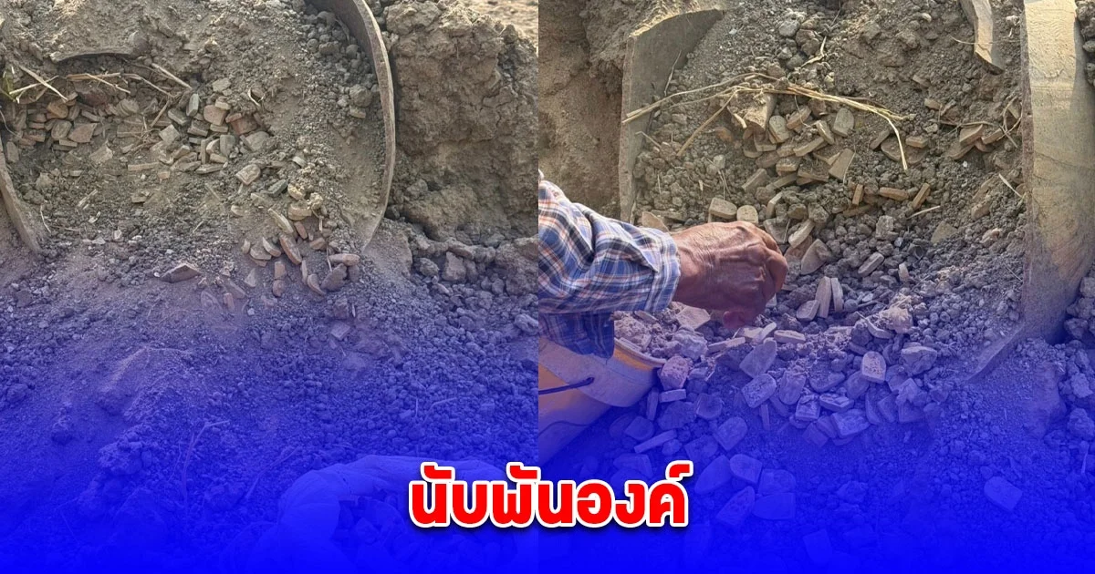 เจ้าของที่จ้างรถไถมาขุดศาลพระภูมิในที่นา เผลอทำโอ่งแตก เจอพระเครื่อง ขุนแผนวัดบ้านกร่างพิมพ์เก่านับพันองค์