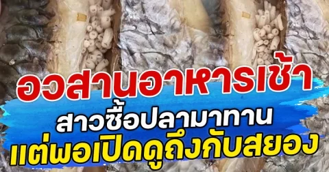 อวสานอาหารเช้า สาวซื้อปลามาทาน แต่พอเปิดดูถึงกับสยอง