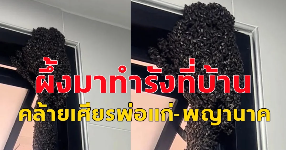 รังผึ้งประหลาด คล้ายเศียรพ่อแก่-พญานาค