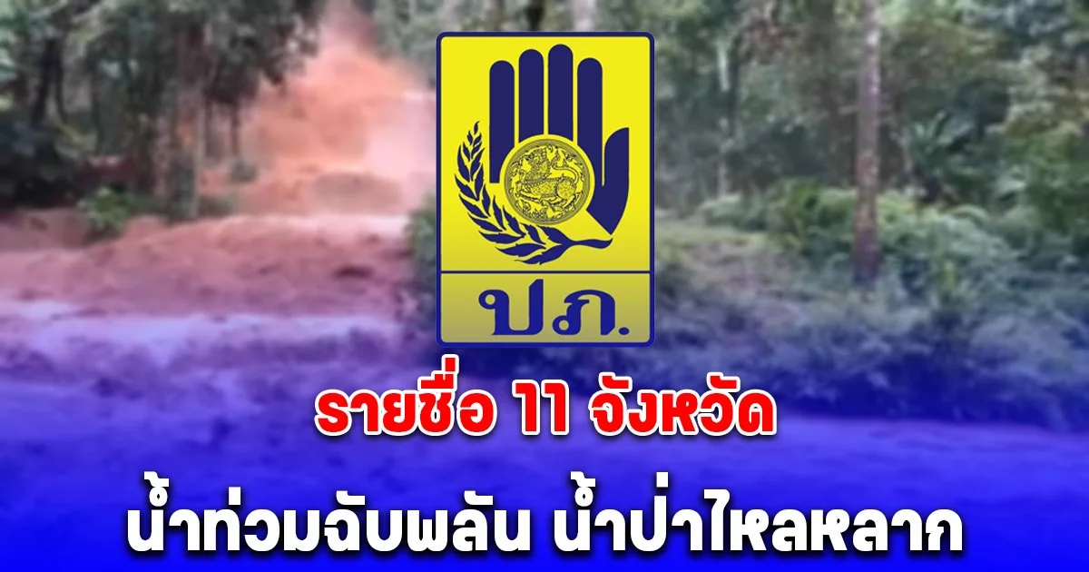 เปิดรายชื่อ 11 จังหวัด หลัง ปภ.เตือนเฝ้าระวังสถานการณ์น้ำท่วมฉับพลัน น้ำป่าไหลหลาก