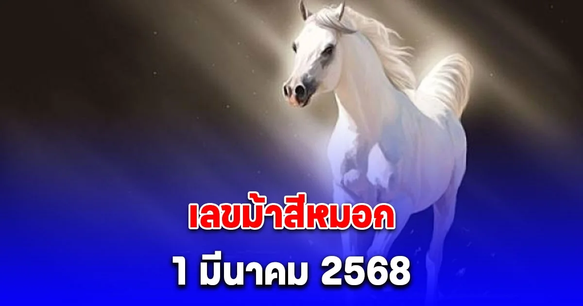 เลขม้าสีหมอก 1 มีนาคม 2568