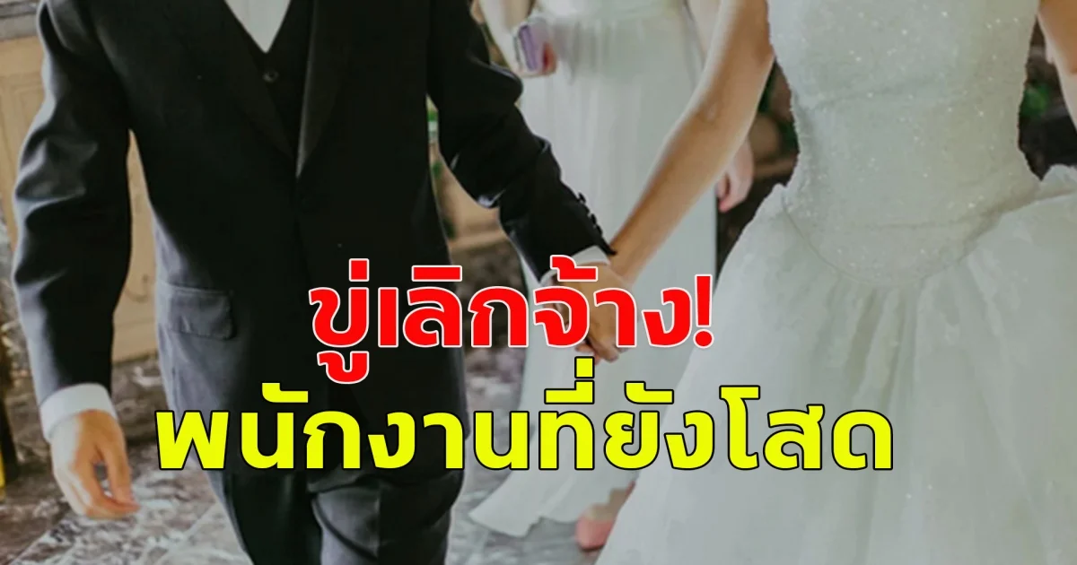 บริษัทในจีน ออกนโยบาย ให้พนักงานที่โสดแต่งงาน ถ้าไม่แต่งหรือยังโสดจะถูกไล่ออก (ข่าวต่างประเทศ)