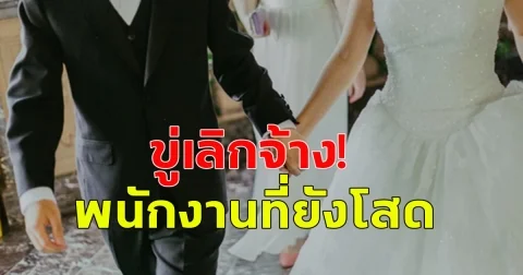 บริษัทในจีน ออกนโยบาย ให้พนักงานที่โสดแต่งงาน ถ้าไม่แต่งหรือยังโสดจะถูกไล่ออก (ข่าวต่างประเทศ)