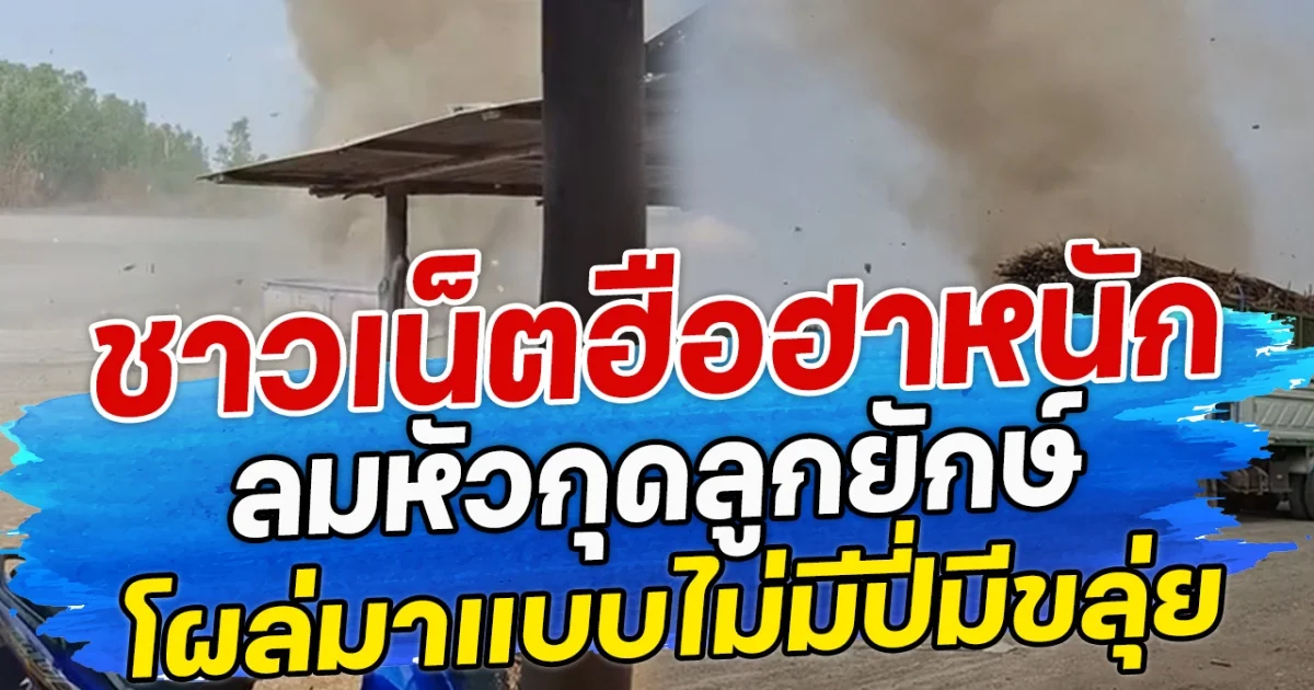 ชาวเน็ตฮือฮาหนัก ลมหัวกุดลูกยักษ์ โผล่มาแบบไม่มีปี่มีขลุ่ย