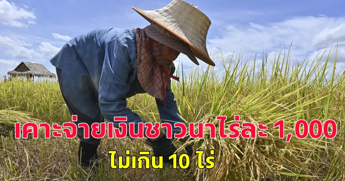 เคาะจ่ายเงินชาวนาไร่ละ 1,000 ไม่เกิน 10 ไร่