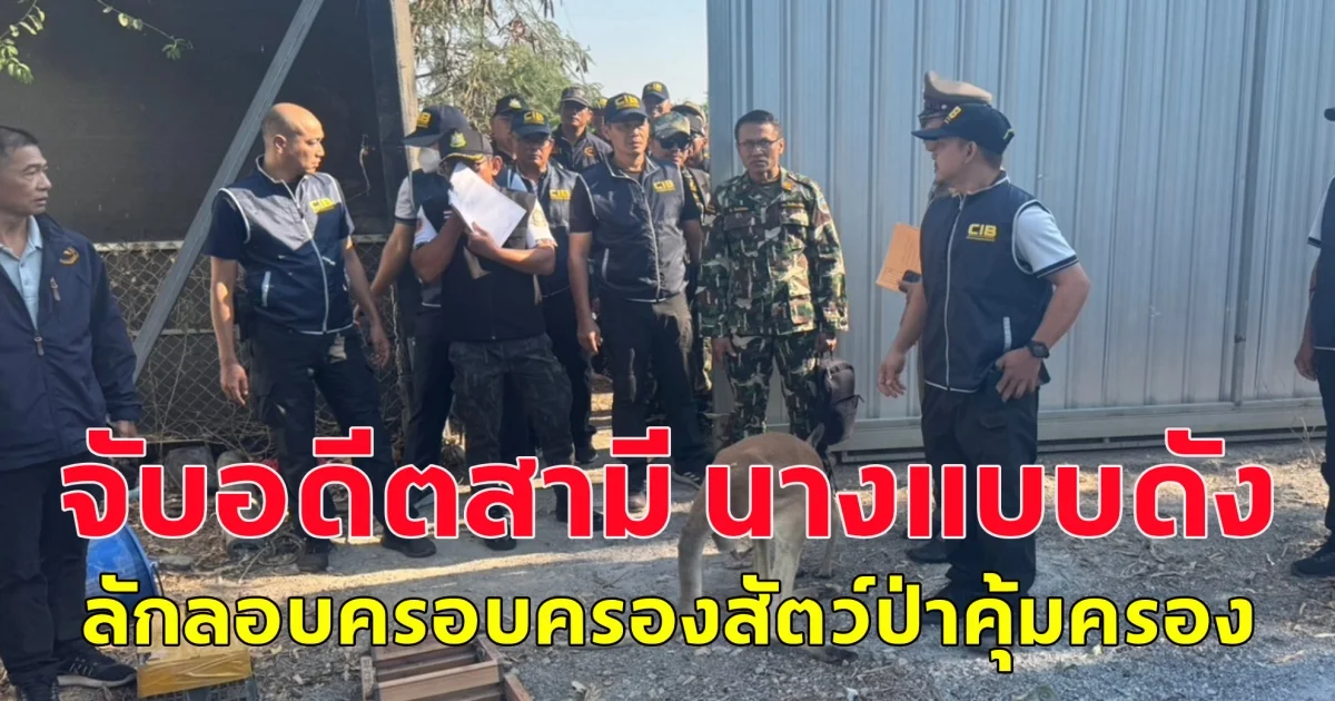 จับอดีตสามี นางแบบดัง ลักลอบครอบครองสัตว์ป่าคุ้มครอง