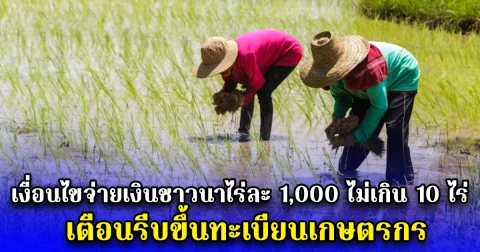 เงื่อนไขจ่ายเงินชาวนาไร่ละ 1,000 ไม่เกิน 10 ไร่ เตือนรีบขึ้นทะเบียนเกษตรกร