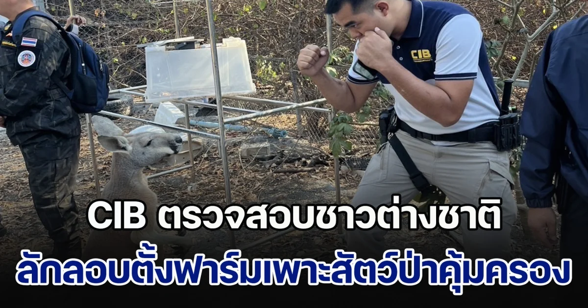 ตำรวจสอบสวนกลาง ร่วมตรวจสอบชาวต่างชาติ ลักลอบตั้งฟาร์มเพาะเลี้ยงสัตว์ป่าคุ้มครอง โดยไม่ได้รับอนุญาต พื้นที่กาญจนบุรี