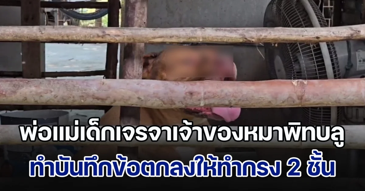 พ่อแม่เด็กเจรจาเจ้าของหมาพิทบลูกัด ทำบันทึกข้อตกลงให้ทำกรง 2 ชั้น ขณะเจ้าของหมาขอเลี้ยงต่อ รับผิดชอบทั้งหมด