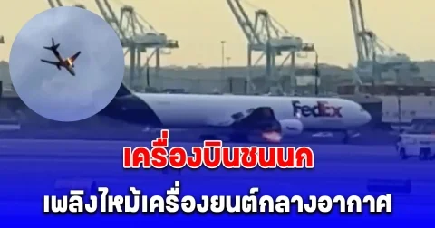 ระทึก! เครื่องบินขนส่งสินค้าชนนก ไฟลุกไหม้เครื่องยนต์กลางอากาศ