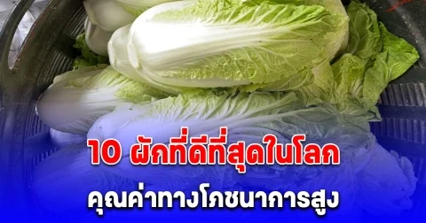 อเมริกาจัดอันดับ 10 ผักที่ดีที่สุดในโลก คุณค่าทางโภชนาการสูง