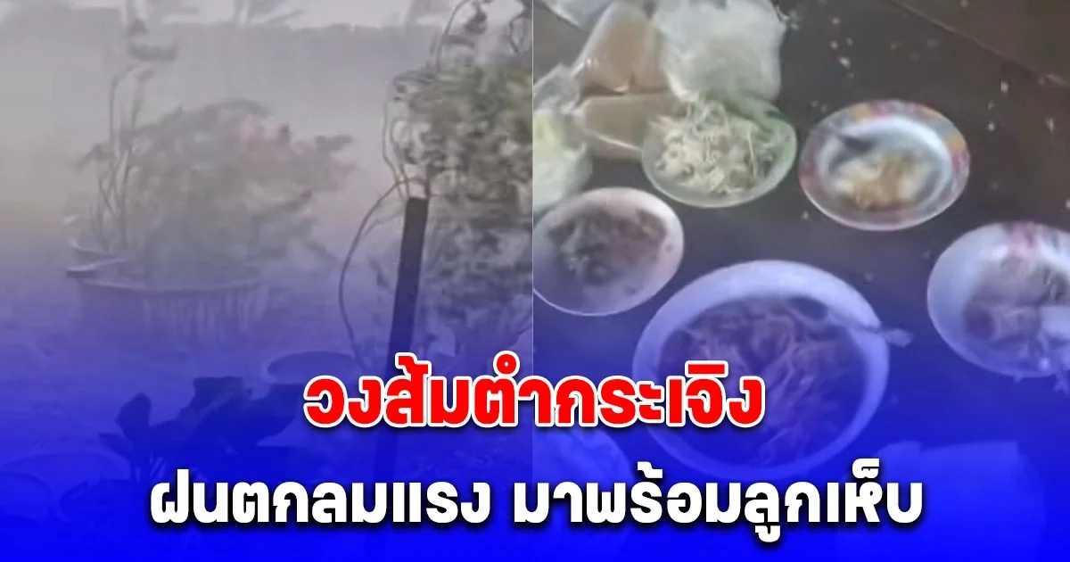 พายุลูกเห็บถล่มเพชรบูรณ์ วงส้มตำกระเจิง