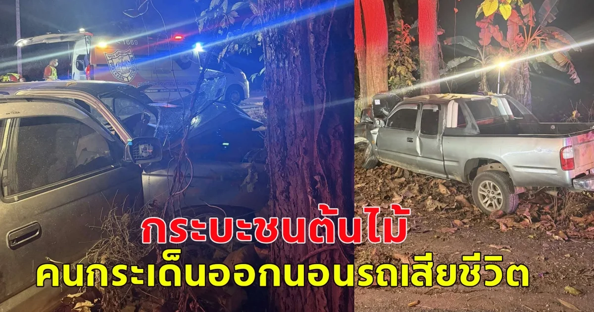 เกิดอุบัติเหตุ กระบะชนต้นไม้ คนกระเด็นออกนอกรถเสียชีวิต