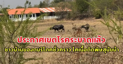ประกาศเขตโรคระบาดแล้ว ชาวบ้านของดบริโภคชั่วคราว โคเนื้อติดพิษสุนัขบ้า