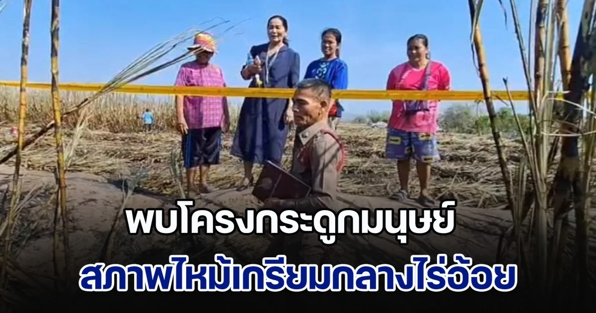 ด่วน! คนงานตัดอ้อย พบโครงกระดูกมนุษย์ ไหม้เกรียมกลางไร่อ้อย