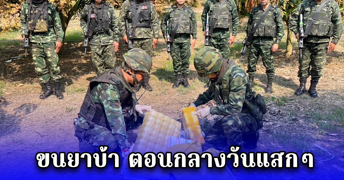 ทหารม้าลาดตระเวนพบ ขนยาบ้า ตอนกลางวันแสกๆ