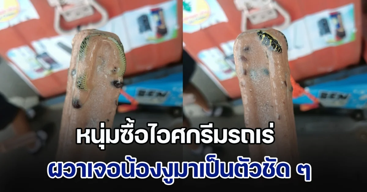 ผงะ! หนุ่มซื้อไอศกรีมรถเร่ ผวาเจอน้องงูมาเป็นตัว ชาวเน็ตแห่คอมเมนต์สนั่น