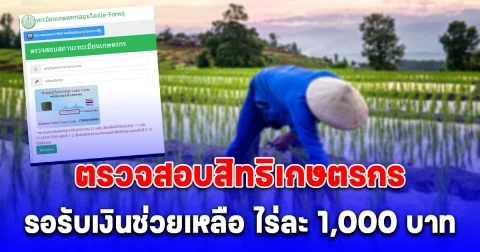 อัปเดตทะเบียนเกษตรกร 2568 รอรับเงินช่วยเหลือ ไร่ละ 1,000 บาท