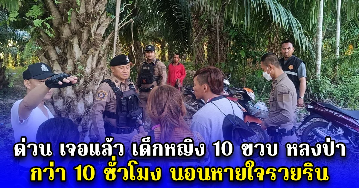 ด่วน เจอแล้ว เด็กหญิง 10 ขวบ หลงป่า กว่า 10 ชั่วโมง นอนหายใจรวยริน