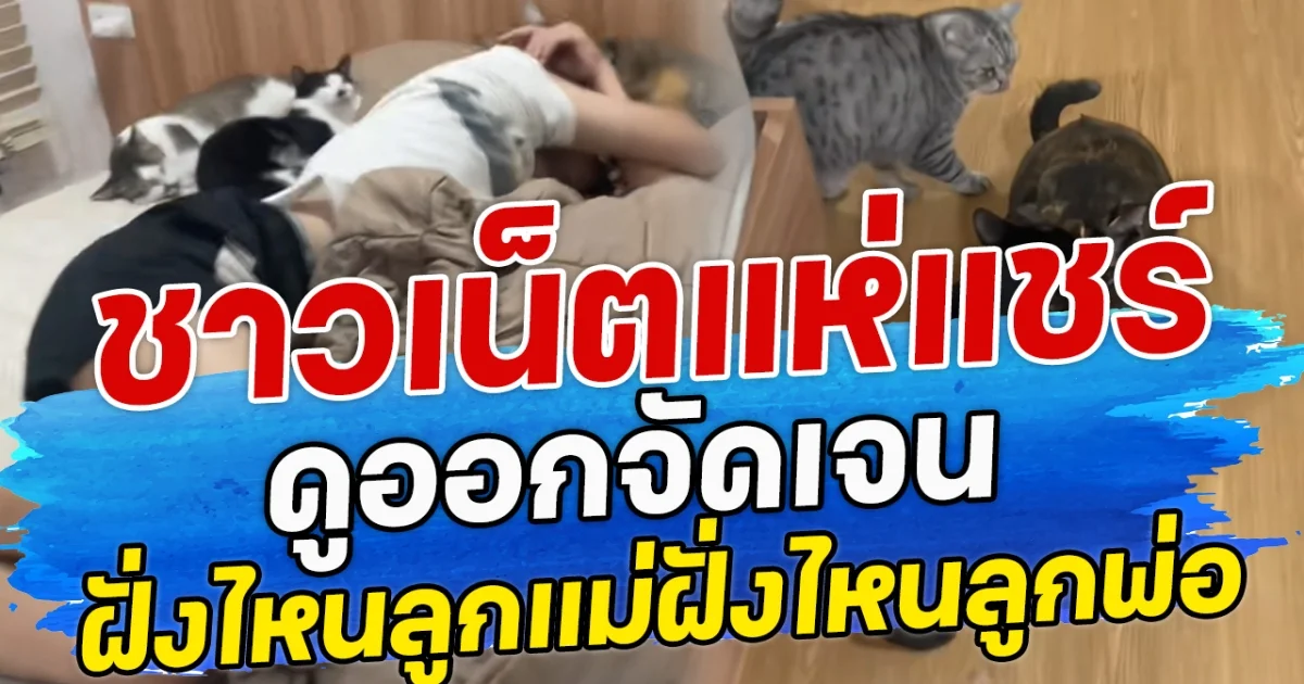 ชาวเน็ตแห่แชร์ ดูออกจัดเจน ฝั่งลูกแม่ฝั่งไหนลูกพ่อ