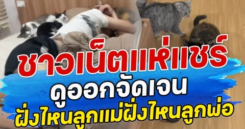 ชาวเน็ตแห่แชร์ ดูออกจัดเจน ฝั่งลูกแม่ฝั่งไหนลูกพ่อ