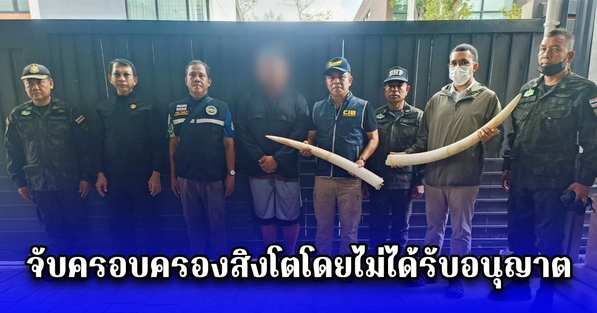 จับครอบครองสิงโตโดยไม่ได้รับอนุญาต