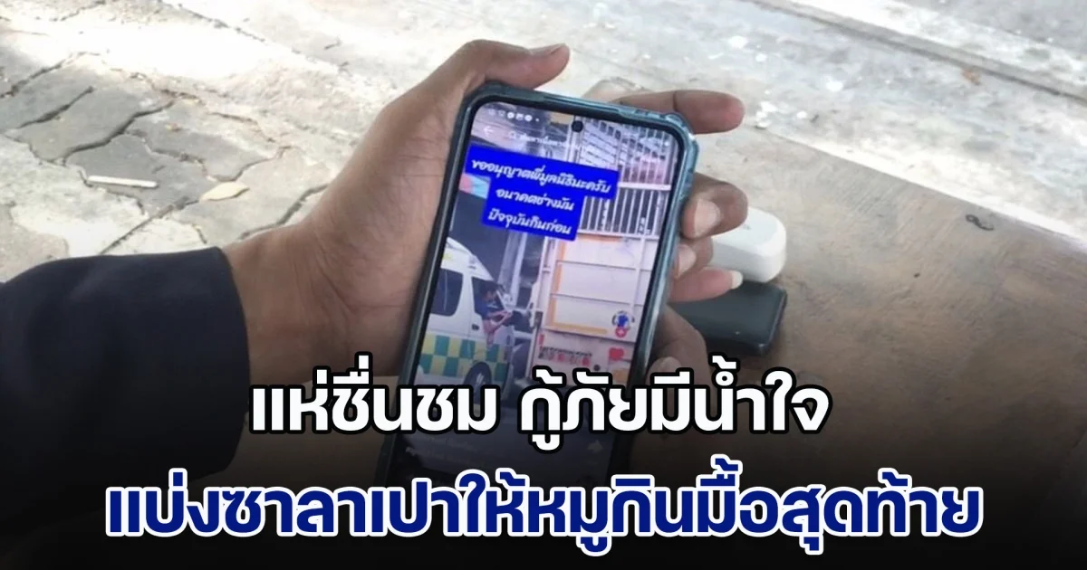 แห่ชื่นชม กู้ภัยมีน้ำใจ แบ่งซาลาเปาให้หมูกินมื้อสุดท้าย ขณะกำลังไปโรงฆ่าสัตว์