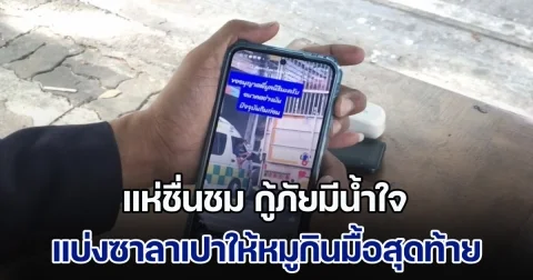 แห่ชื่นชม กู้ภัยมีน้ำใจ แบ่งซาลาเปาให้หมูกินมื้อสุดท้าย ขณะกำลังไปโรงฆ่าสัตว์